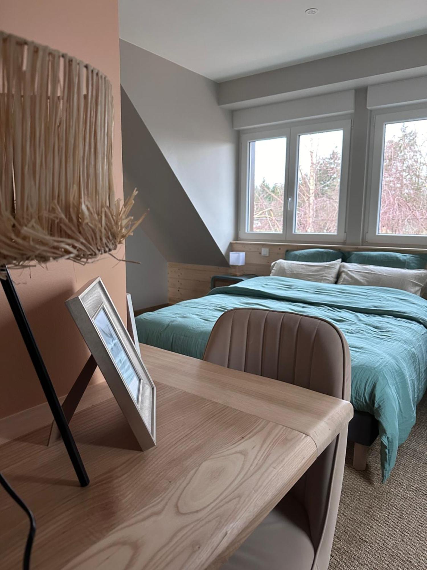Pivoine&Colibri - loft tout confort 60 m2 Domfessel Extérieur photo