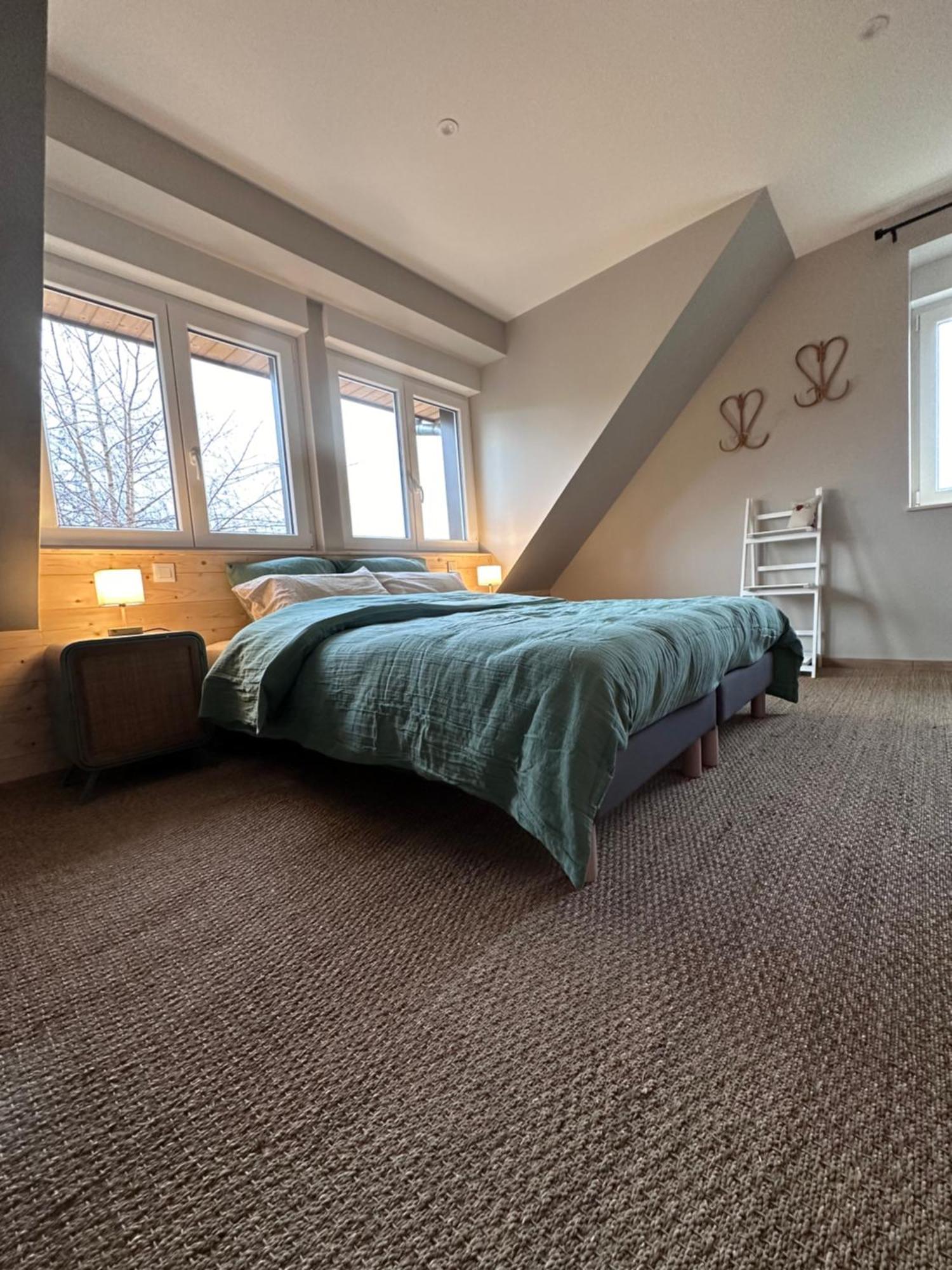 Pivoine&Colibri - loft tout confort 60 m2 Domfessel Extérieur photo